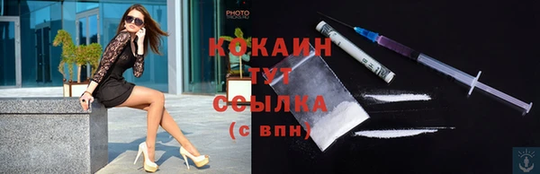 СК Бородино