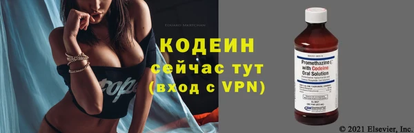 амф Бронницы
