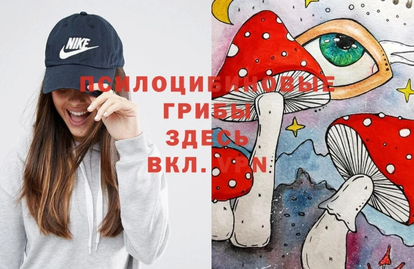 apvp Бугульма