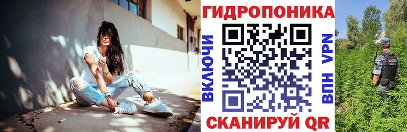 Каннабис гибрид Кирс